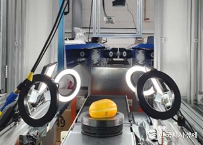 참외 3차원 영상 선별 시스템(영상 측정부)