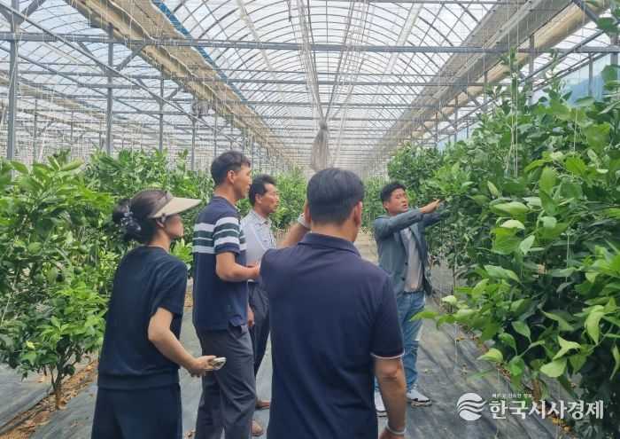 만감류 재배현장 맞춤형 컨설팅