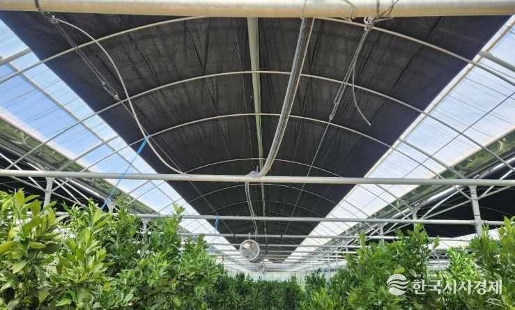 차광막 해가림시설