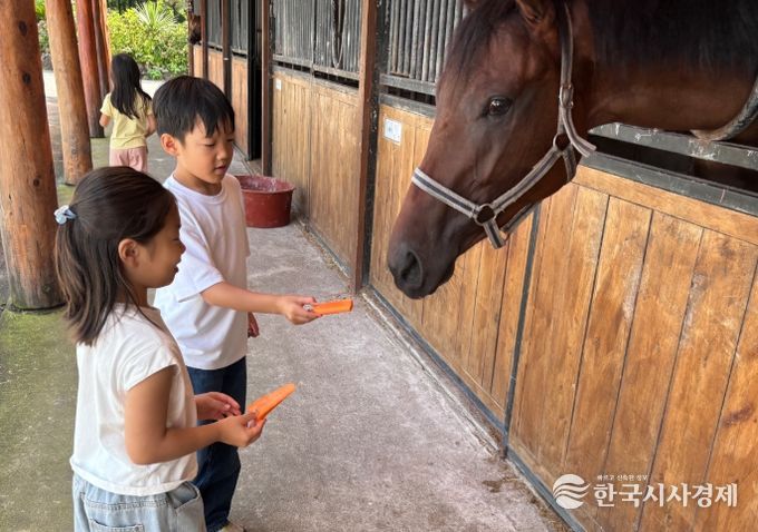 글로벌생태스포츠 특색 활동