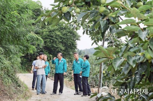 장금용 창원특례시장 권한대행, 북면 단감 농가 방문 등 현장 행정 강화