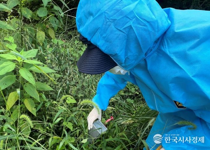 진드기감염병 주의