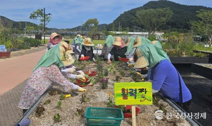 기장군 철마도시농업공원, 도심 속 텃밭 교육으로 어르신 활력 증진