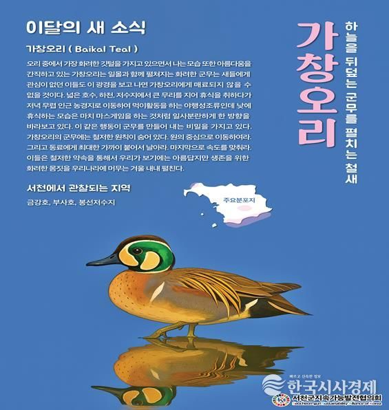서천지속협 11월 이달의 새로 선정된 가창오리 포스터