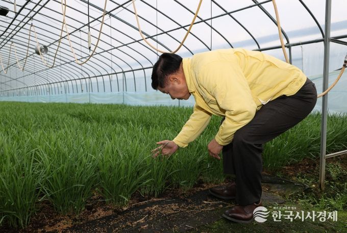 고성군수, 부추재배 농가 현장 찾아 농업인 격려