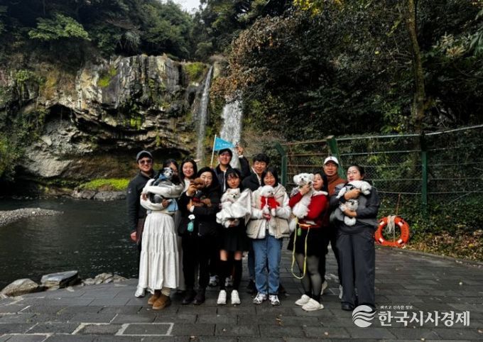 댕댕이와 비행기타고 서귀포 여행