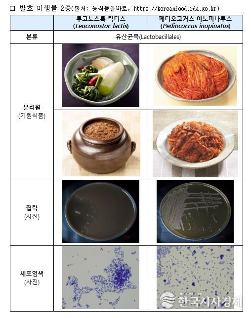 전통발효식품 미생물 2종 정보