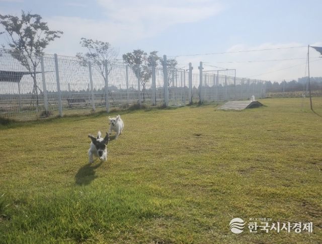 부안군, 2026년 반려동물 놀이터 조기 개장