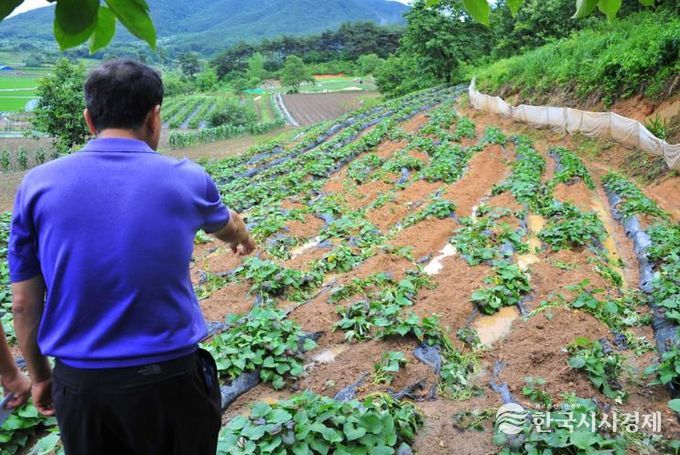 순창군, 유해야생동물 피해 농작물 보상 실시…최대 300만 원 지원