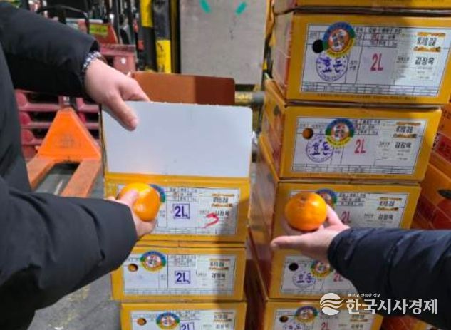 만감류 유통상황 점검