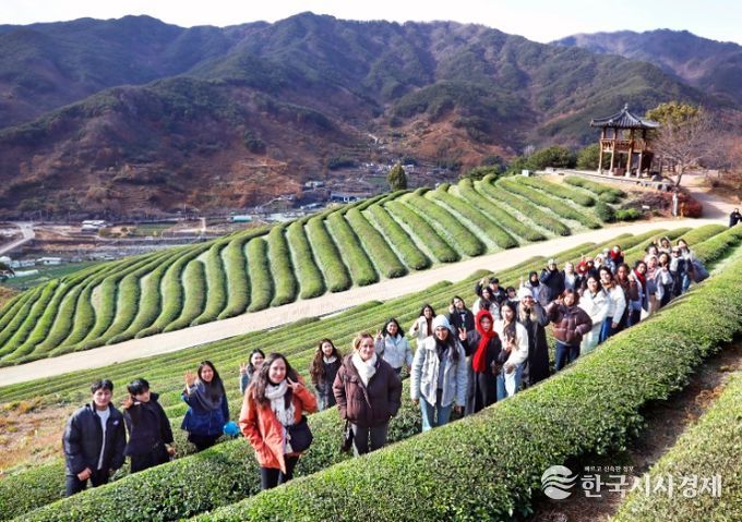 섬진강 스테이 특화 상품(외국인 유학생 팸투어-하동 녹차밭)