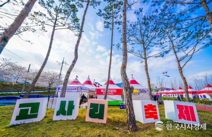 남해군 제8회 창선고사리축제