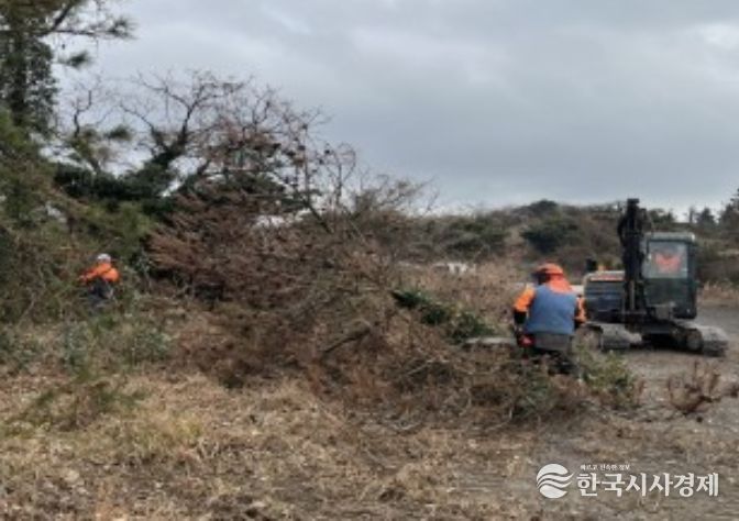 소나무재선충병 방제사업