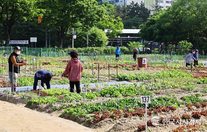 남동구, 2026년 남동 실버농장 참여자 모집(실버농장)