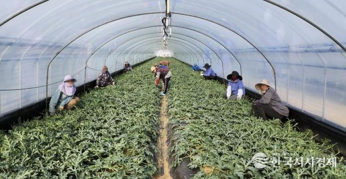 청주시, 2026년 상반기 외국인 계절근로자 421명 도입