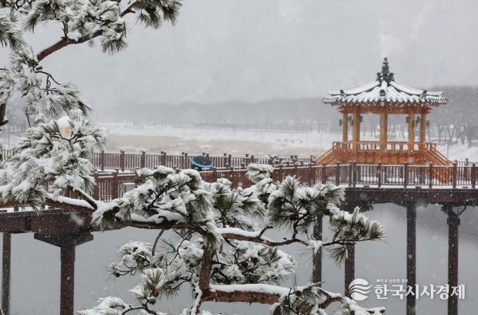 24일 충북 괴산군 에코브릿지에 눈이 내려앉아 겨울 설경을 연출하고 있다.