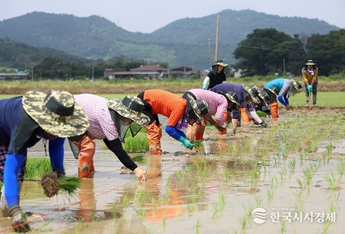 , 2026년 농민 공익수당 5월 16일까지 접수