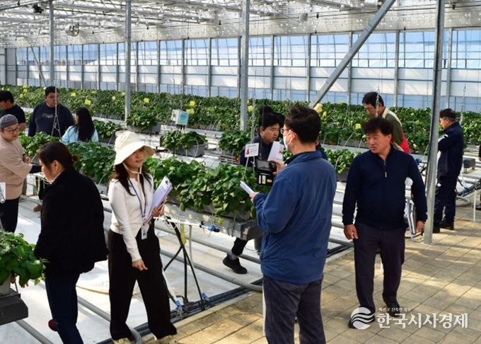 스마트팜 실증 현장평가