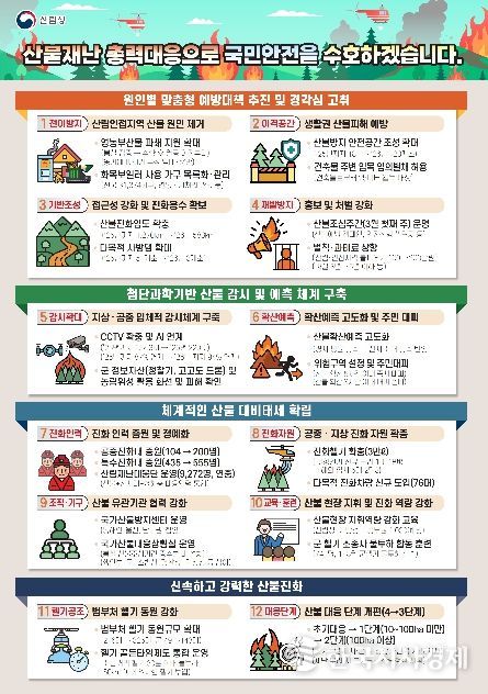 전국 산불방지 종합대책