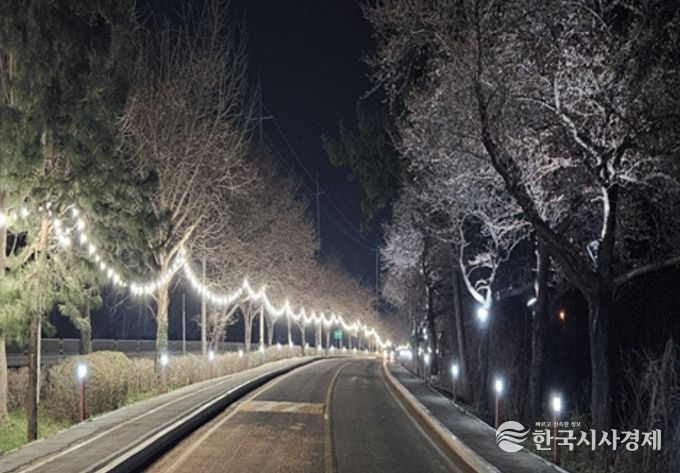 고인돌공원 왕벚꽃길 야간경관