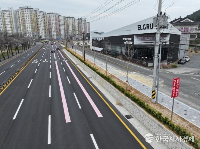 용강네거리 황금빛 품은 가로수길로 새 단장