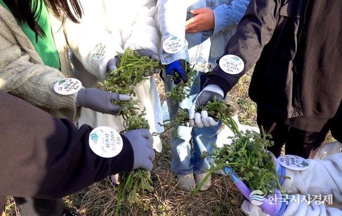 2025년 고사리 축제